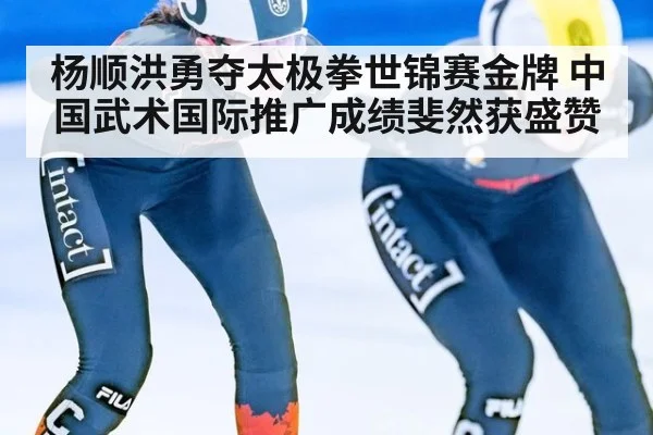 杨顺洪勇夺太极拳世锦赛金牌 中国武术国际推广成绩斐然获盛赞
