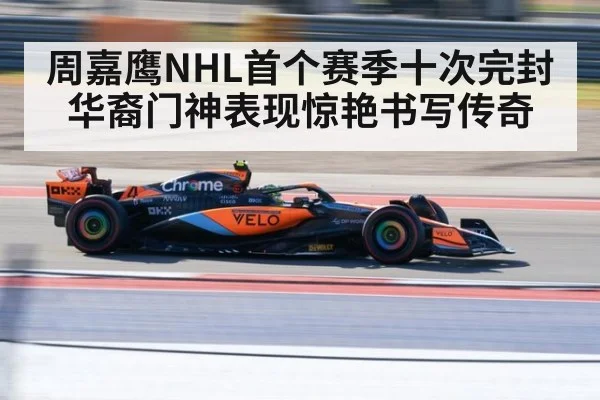 周嘉鹰NHL首个赛季十次完封华裔门神表现惊艳书写传奇